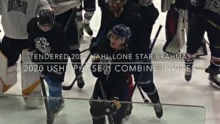 Tyler McNeil NAHL Lone Star Brahmas 2020 Main Camp amp AllStar Game Highlight Reel [upl. by Nnaeirrac938]