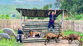 Dwarf Family Journey in Building a Goat Shelter  Happy Forest Survival Life [upl. by Matlick]