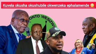 Kushubile kuvela okwenzeka phakathi ephalamende 😳Zizwele [upl. by Ardnas51]