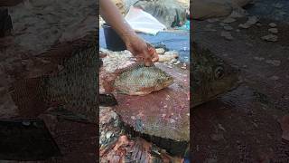 mosambi Kirti hai fishcooking 🇧🇩🇧🇩🇧🇩🇧🇩🇧🇩 [upl. by Philips]