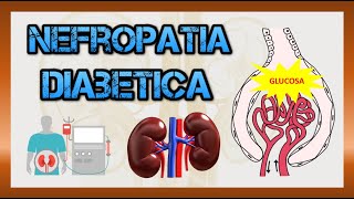 Enfermedad renal crónica Nefropatía diabética NEFROLOGÍA [upl. by Aisnetroh]