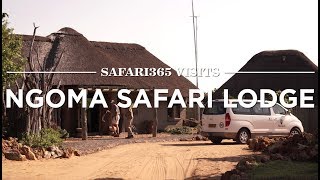 Ngoma Safari Lodge Chobe National Park  Safari365 [upl. by Okuy985]