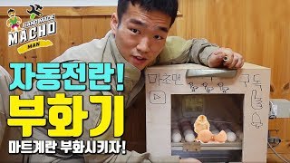 40만원짜리 최고급 병아리 부화기 만들기자동전란 부화기 만드는 방법집에서 병아리 부화시키기자연인시골라이프부화기알콤 병아리치킨마초맨 [upl. by Ajile332]