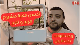 الزراعة المائية كيف تنمو النباتات بدون تربة؟  جولة في أنظمة الزراعة المائية الخاصة بي [upl. by Eiffub]