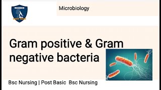 Gram positive and Gram negative bacteria examples in microbiology2 marksBsc Nursing [upl. by Oidivo]