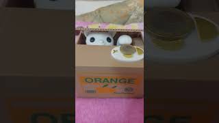 CaT Box Piggy bank [upl. by Yesllek]