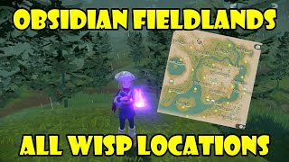 All Wisp locations in Obsidian Fieldlands Map with markings Pokemon Legends Arceus [upl. by Lustig]