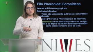 Zoologia de Invertebrados  Aula 24  Lofoforados  Filos Phoronida Ectoproctos Brachiopoda [upl. by Ertnod]