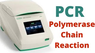 PCR Polymerase Chain Reaction steps [upl. by Rustice886]