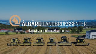 Ålgård TV  Episode 5  Trøsjar spesial  New Holland CH 770  Baastrup [upl. by Nimzzaj]