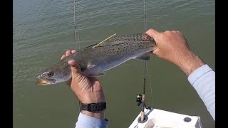 South Louisiana SUMMER Saltwater Fishing Compilation ALL NEW FOOTAGE [upl. by Lichter174]