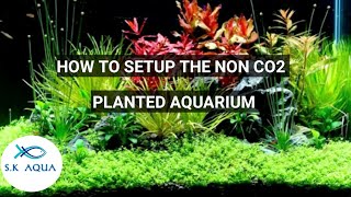 How to setup the non co2 planted aquarium  Tamil  SK Aqua  SK Aquatic [upl. by Melli31]