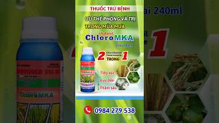 Thuốc trừ nấm bệnh Chloro MKA giá rẻ hiệu quả cao [upl. by Sykes617]