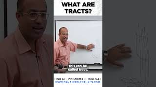 What Are Tracts drnajeeb drnajeeblectures shortvideostatus [upl. by Raclima]