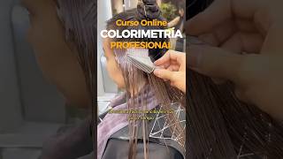 🌈COLORIMETRÍA CAPILAR balayage cursoonline estilistas colorimetria loreal mezclasdetintes [upl. by Annoirb]