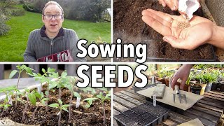 Sowing Seeds Absolutely Everything You Need to Know [upl. by Atekahs]