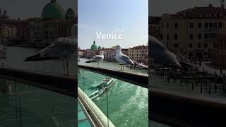 Venice Travel Explore the Floating City’s Beauty and Charm venice italy venicetravel venezia [upl. by Orman]