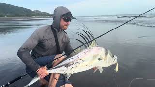 How To Rooster Fish from the Beach [upl. by Stauder]