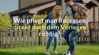 Wie pflegt man Rollrasen direkt nach dem Verlegen richtig [upl. by Fiel982]