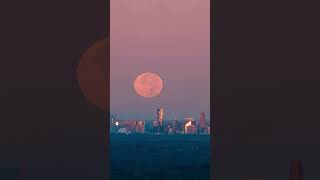 Supermoon StunnerHeres a timelapse of this mornings Hunter Supermoon setting over shorts short [upl. by Neetsuj]