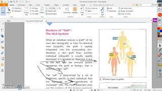 Types of grafting Grade 8 [upl. by Orestes859]