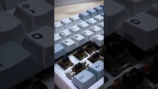 Gamakay TK75 HE Hall Effect Keyboard Sound Test  Magnetic switches [upl. by Horst]