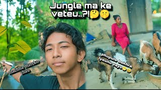 Aakhir ke veteu ta jungle ma 🤔🤫😆 garmai ramailo gariyo 😆💯 phupu sanga jiskidai 😺🦋 [upl. by Kenwee]