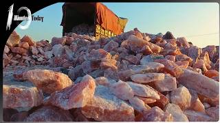 How Modern Salt is Harvested  Salt Harvesting Process  10 Minutes Today [upl. by Hedley38]