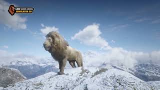 Lion Games Animal Simulator 3D [upl. by Anair]