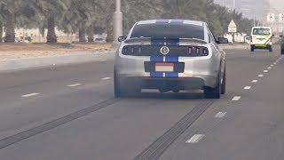 850HP Ford Shelby GT500 SVT from HELL [upl. by Balough]