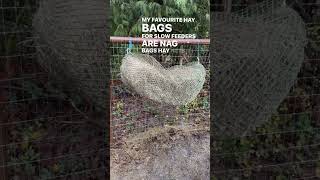 Why You Should Get Your Horse A Slow Feed Hay Net [upl. by Marston75]