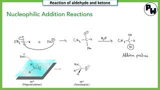 Nucleophilic addition reaction mechanism class 12 [upl. by Rabma]