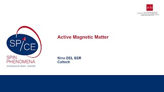 Talks  Spin textures Magnetism meets Plasmonics 2024  Nina DEL SER Caltech [upl. by Onaled]