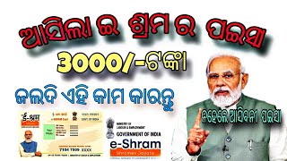 E sharma scheme 3000 pension ll ଇ ଶ୍ରମ ଯ଼ୋଜନା 3000 ଟଙ୍କା ପେନସନ llodisha eshramcardpmmodi viral [upl. by Eilahs654]