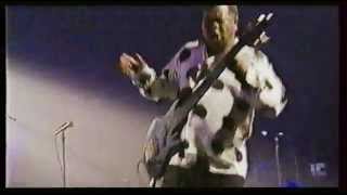 Abraham Laboriel jumpin bass solo [upl. by Ajad]