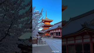 THE BEAUTY OF JAPAN 🇯🇵  Japan edit  shorts lofi japan trending  Anushri wings [upl. by Lourdes]