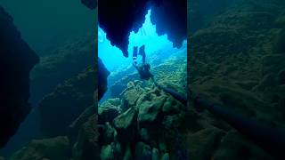 Little lava cave 💙 lavatube lava underwater ocean freediver freediving [upl. by Cynthie]