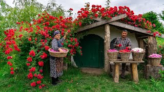 🌹 Traditional Rose Jam Homemade Recipe from Fresh Roses [upl. by Narod857]