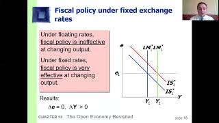 The Mundell Fleming Model [upl. by Eiknarf]