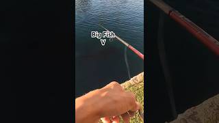 Big Fish Small lake Full vid Out Now bassfishingfishingbassfishingmethods largemouthbass [upl. by Nishom764]