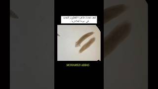 ظاهرة التقطيع في دودة البلاناريا The phenomenon of fragmentation in planarian worms [upl. by Aigil]