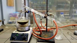 pipérine  extraction reflux filtration distillation [upl. by Selry]