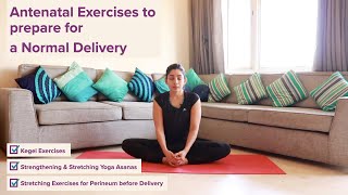 Pregnancy Exercises Third Trimester for Normal Delivery  Kegels Stretching exercises using EPINO [upl. by Ashraf834]