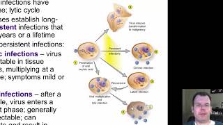 Chapter 24 The DNA Viruses of Medical Importance CC [upl. by Selway39]