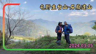 屯野生台山石麻達山 20240305 [upl. by Bobbee]