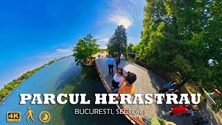 Parcul Herastrau  Bucuresti Sector 1  walking tour  🇷🇴 [upl. by Atilam]