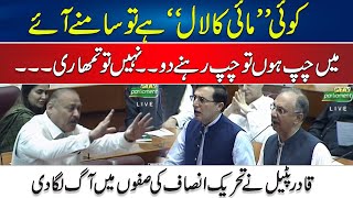 Qadir Patel Big Challenge To PTI Leaders In National Assembly  Fiery Speech By Patel  24 News HD [upl. by Nichy564]