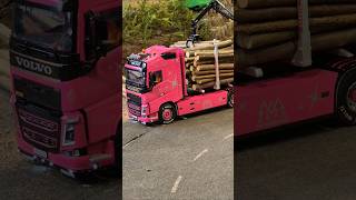 Faszination Modellbau Messe Friedrichshafen  RC Timber Truck [upl. by Eahc]