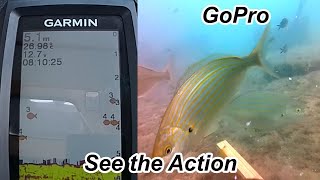 Garmin striker vivid 4cv How to read sonar and use the fish symbol garmin fishfinder [upl. by Eileen]