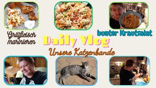 Daily Vlog  Unsere süße Katzenbande  Bunter Krautsalat und Grillfleisch marinieren zum Abendessen [upl. by Old]